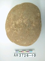 藏品(石錘)的圖片